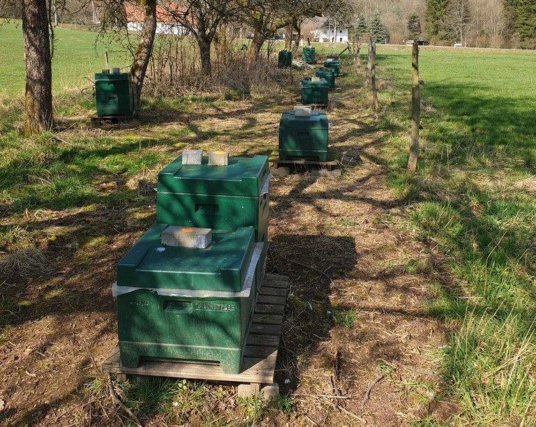 Unsere Bienenstöcke